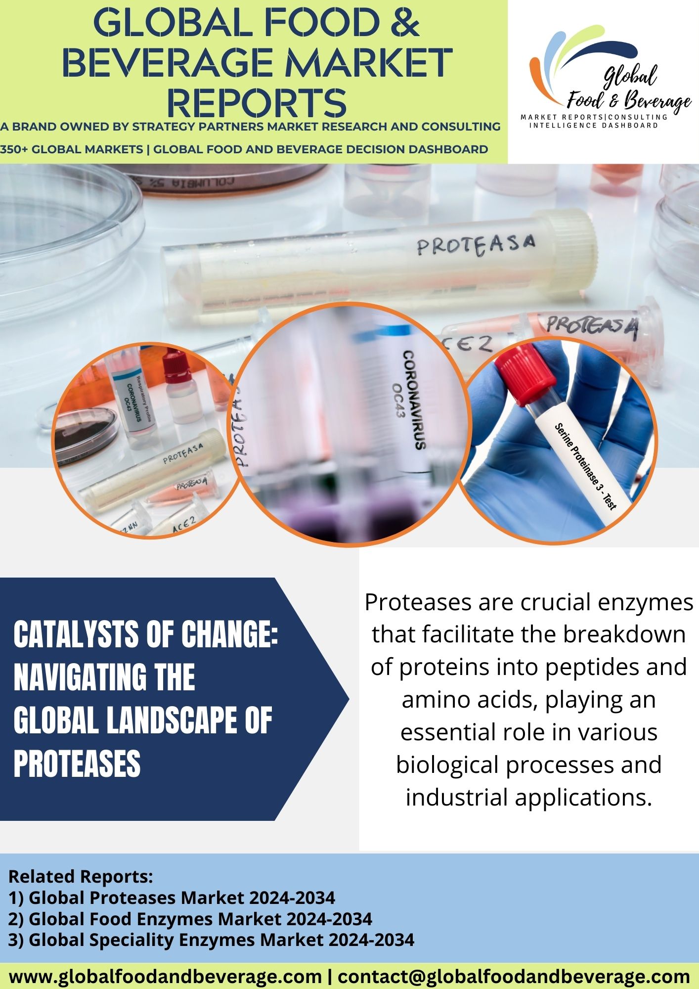 Catalysts of change: navigating the global landscape of proteases      