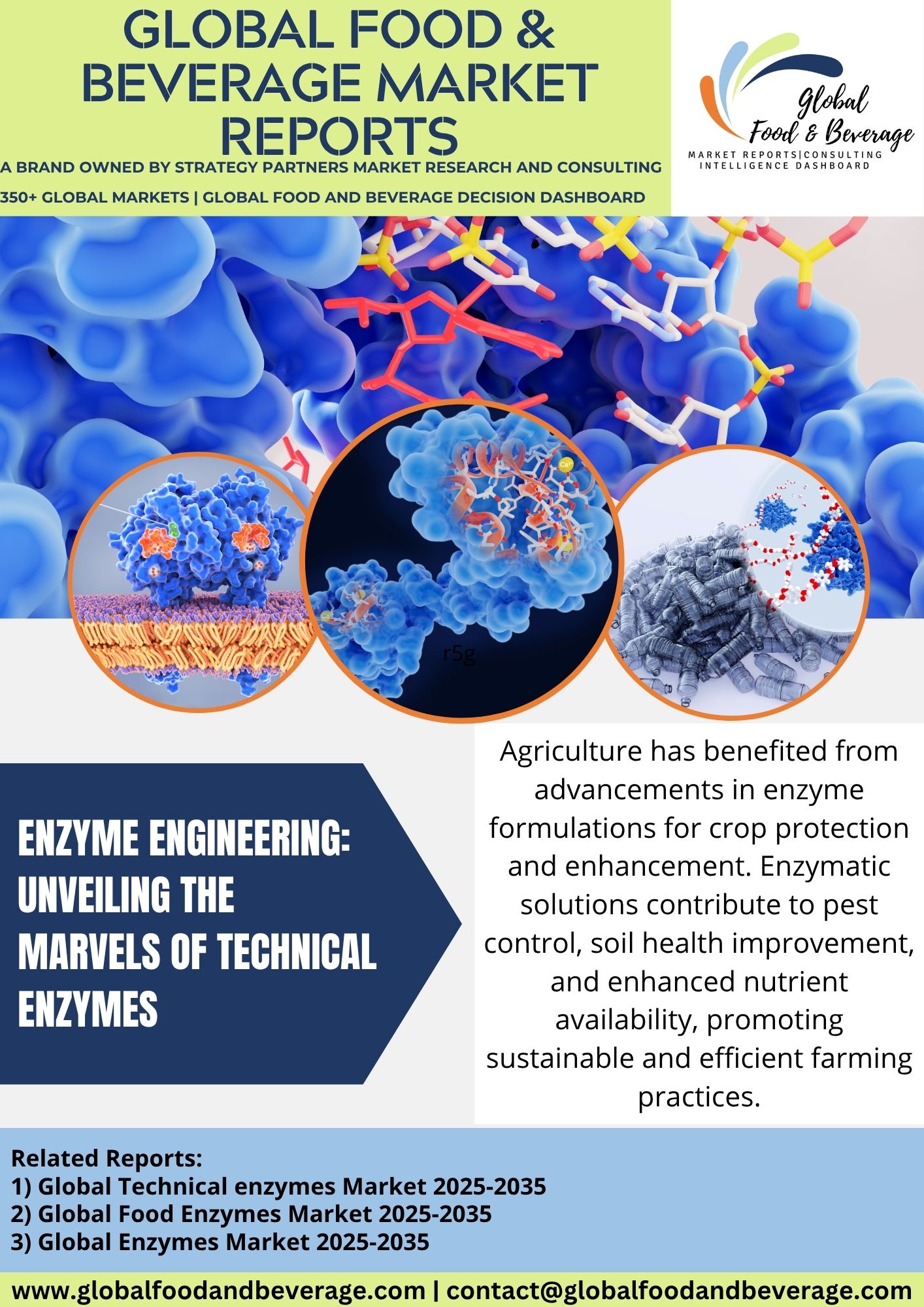 Technical Enzymes: Unveiling The Marvels Of Enzyme Engineering