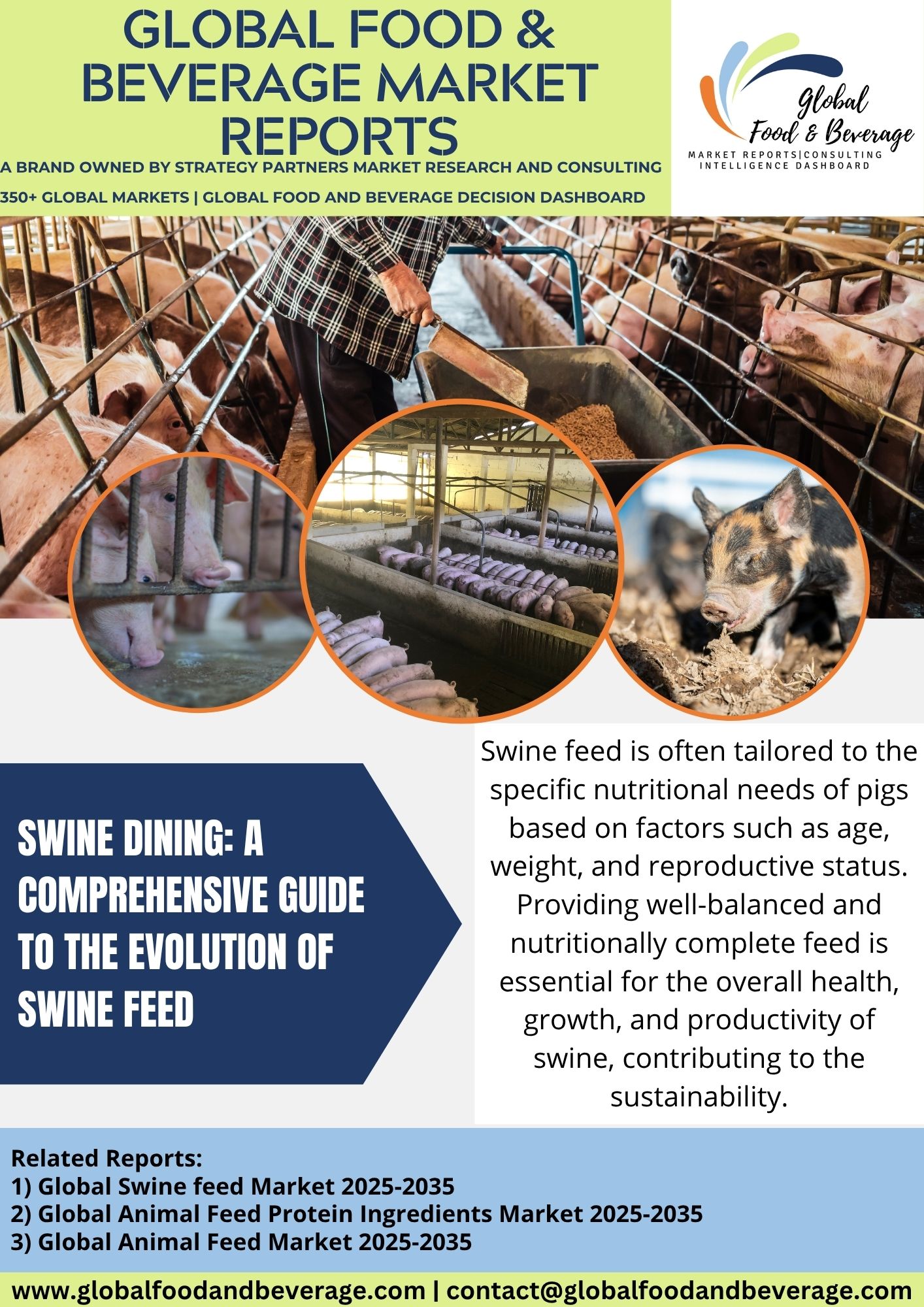 Swine Feed : A Comprehensive Guide To The Evolution Of Swine Dining