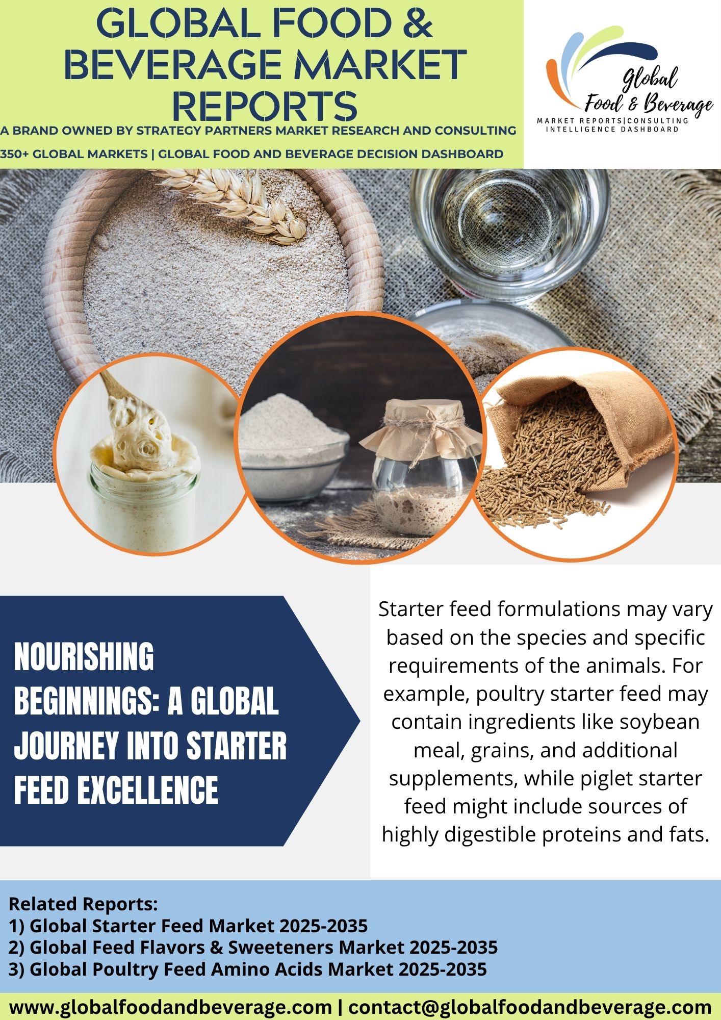 Starter Feed: A Global Journey Into Nourishing Beginnings Excellence