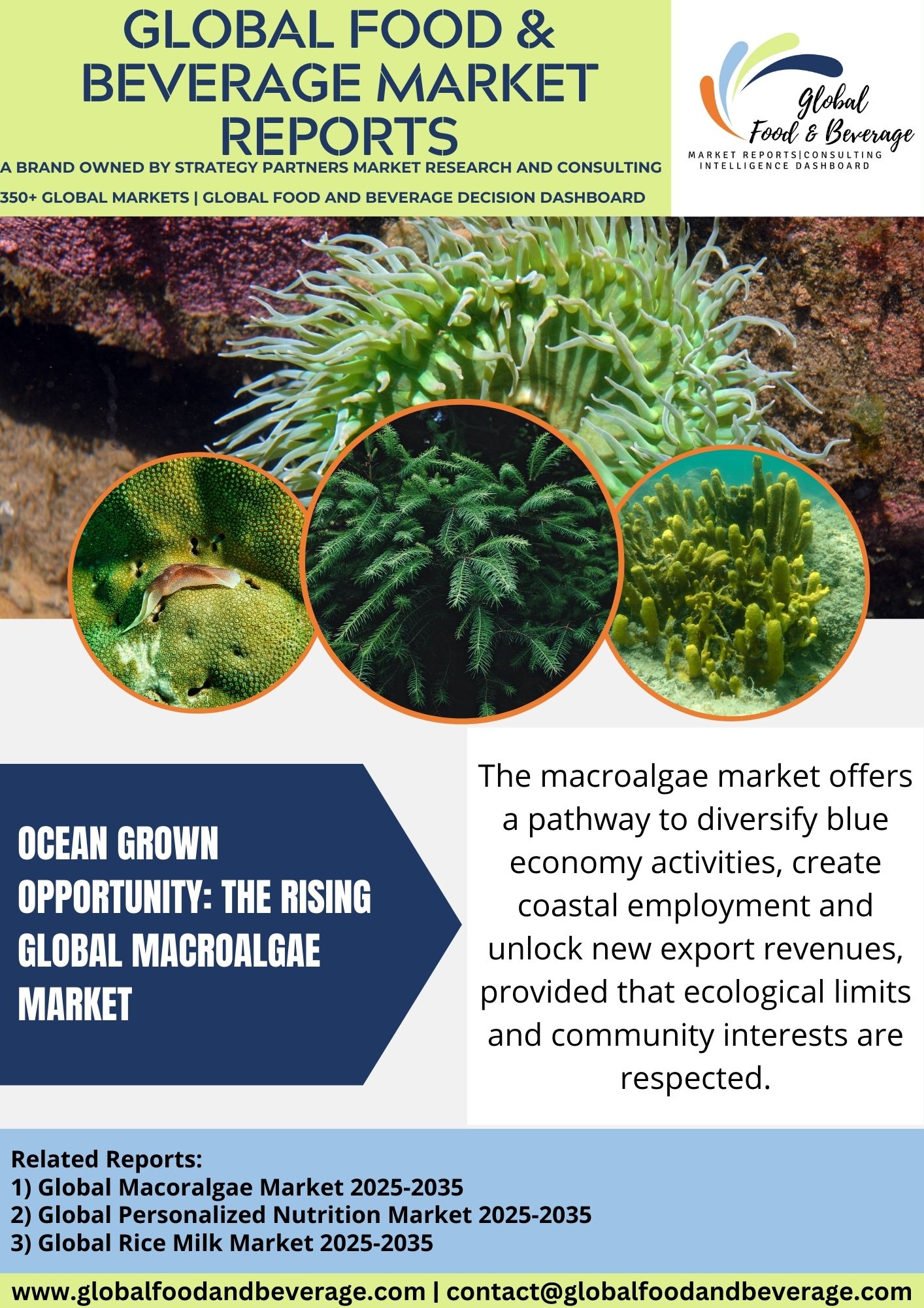 Ocean Grown Opportunity: The Rising Global Macroalgae Market